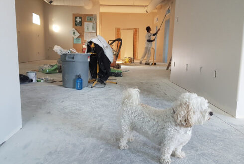 Traitement de fissures sur maison individuelle